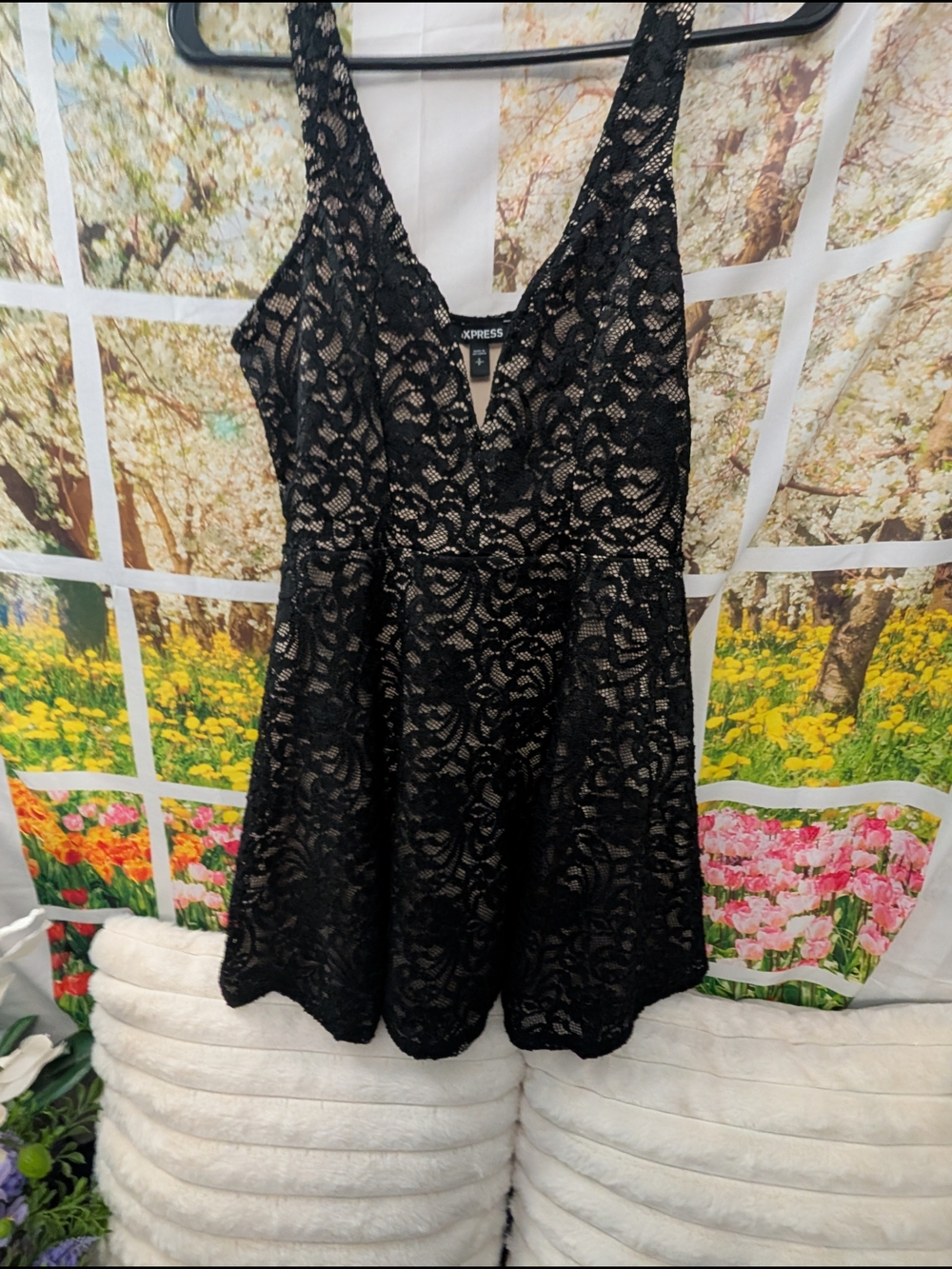 Express Black Lace Mini Dress with V-Neck